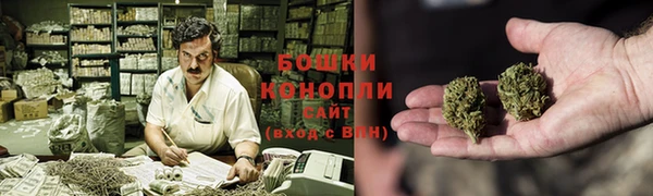 СК Горняк