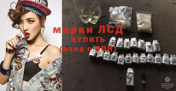 СК Горняк