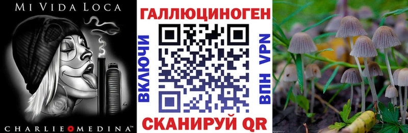 Галлюциногенные грибы прущие грибы гидра онион Ивдель